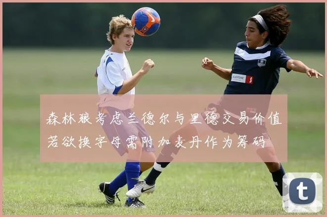 森林狼考虑兰德尔与里德交易价值若欲换字母需附加麦丹作为筹码