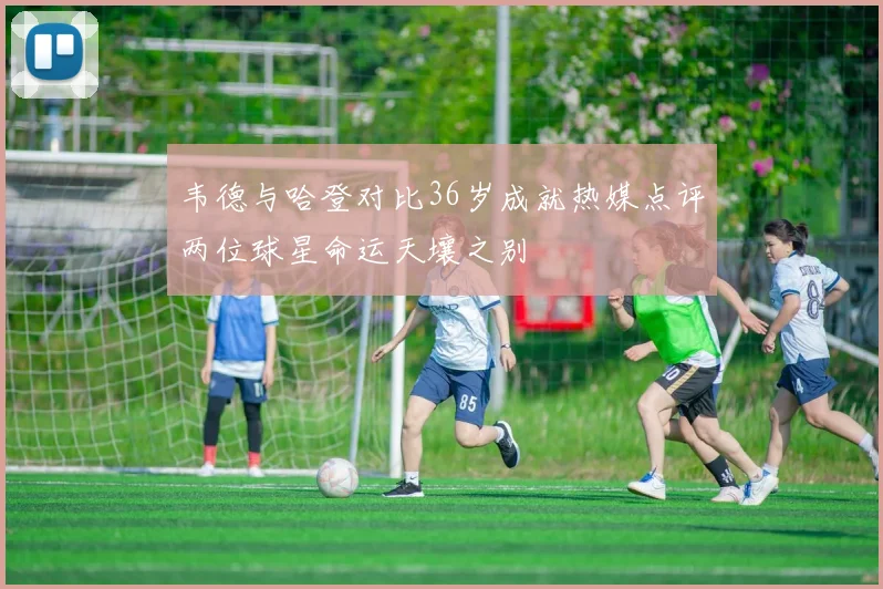 韦德与哈登对比36岁成就热媒点评两位球星命运天壤之别